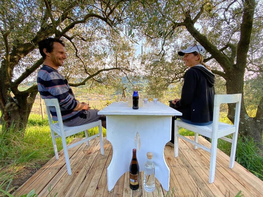 Romantični kotiček pod oljkami