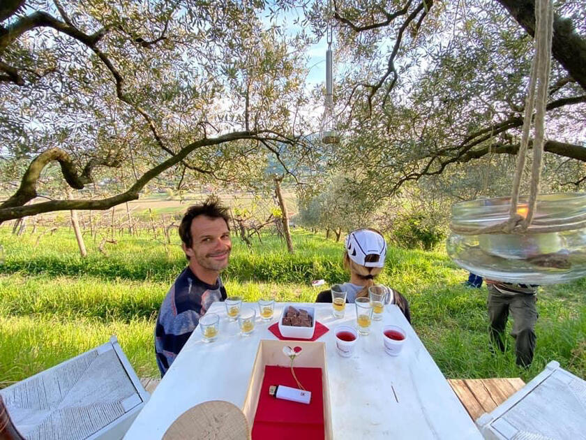 Romantični kotiček pod oljkami